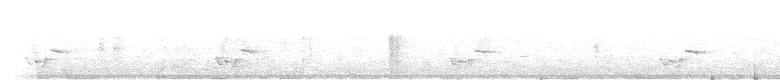 Troglodyte à poitrine grise - ML184336191