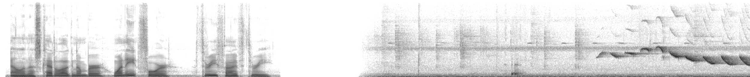 Sumichrast's Wren - ML184353