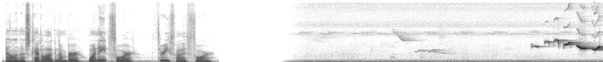 Sumichrast's Wren - ML184354