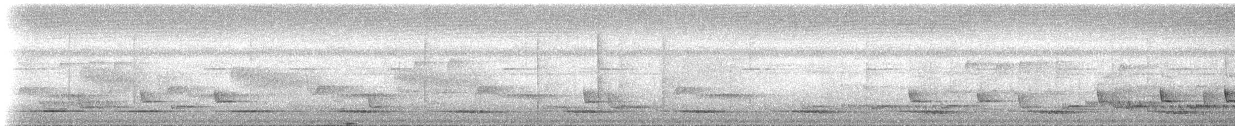 Sabah Partridge - ML184358