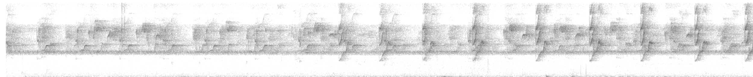 Длинноклювый колибри-отшельник - ML184429171