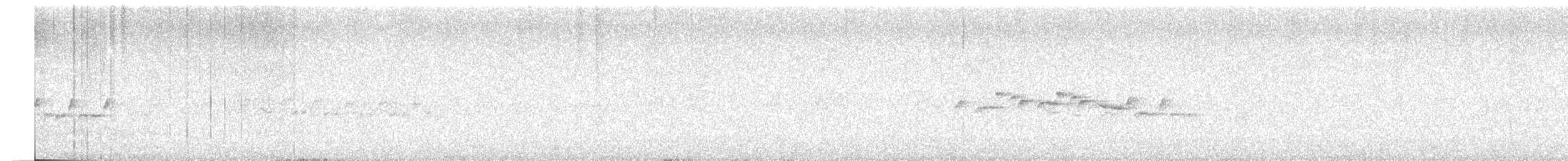 maoriflueskvett (macrocephala gr.) - ML184453691