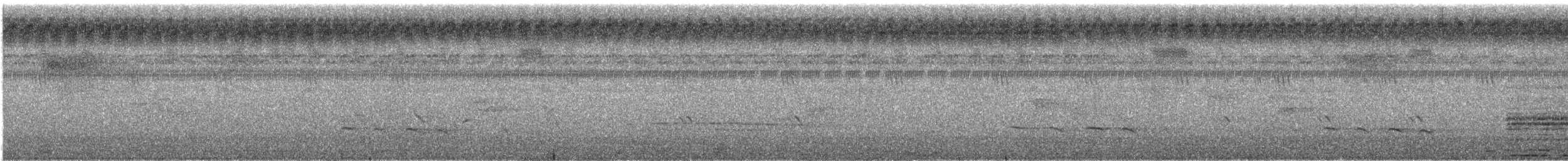Sonnerat Guguğu - ML184488851