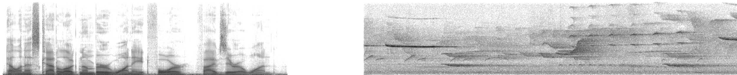 Troglodyte siffleur (luscinia) - ML184501