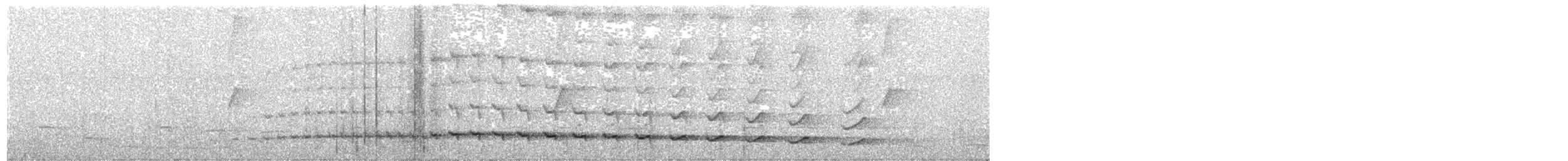 kremstrupetreløper (guttatoides/dorbignyanus) (pantreløper) - ML184520221