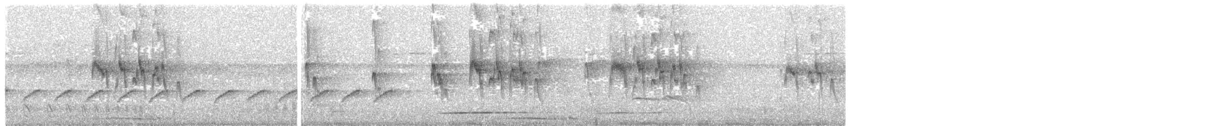 Chapman's Swift - ML184551271