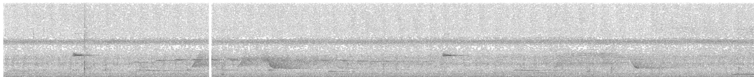 Корольковая пипра - ML184552021