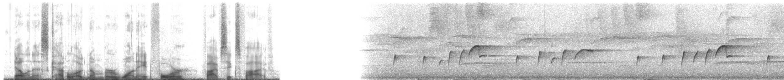 Kuzey Sorguçlu Sinekkapan (aurantiiventris) - ML184565