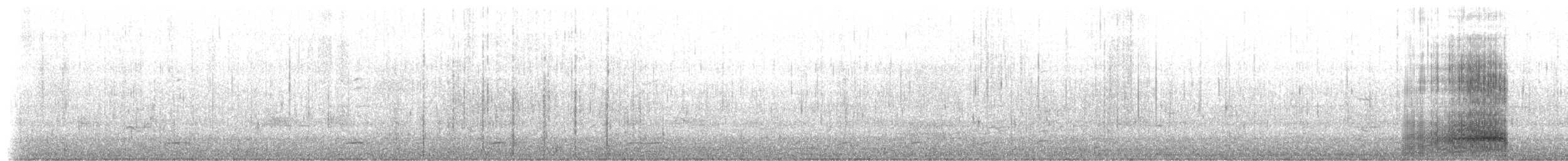 裏海燕鷗 - ML184565611
