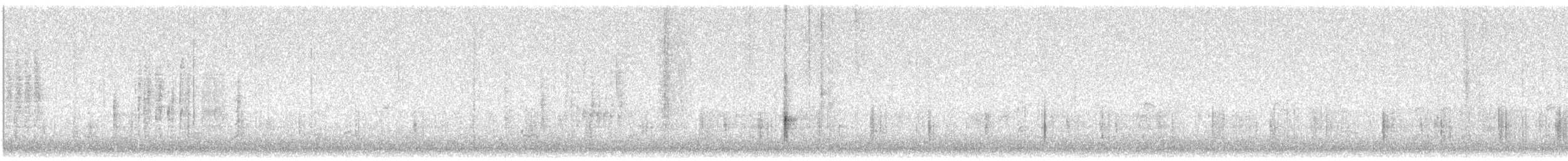 Marsh Wren (plesius Group) - ML184567981