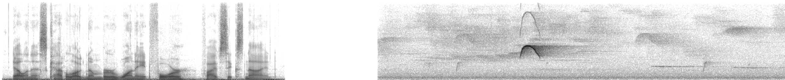 Kuzey Sorguçlu Sinekkapan (aurantiiventris) - ML184569