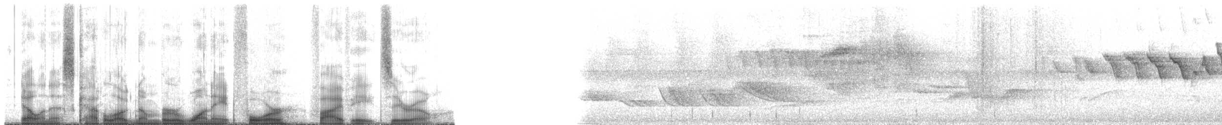 Piaye écureuil (thermophila) - ML184580