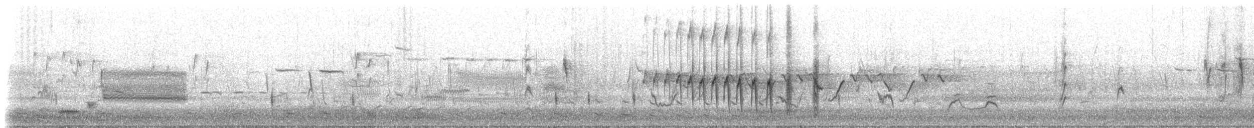 vlhovec červenokřídlý [skupina phoeniceus] - ML184582141