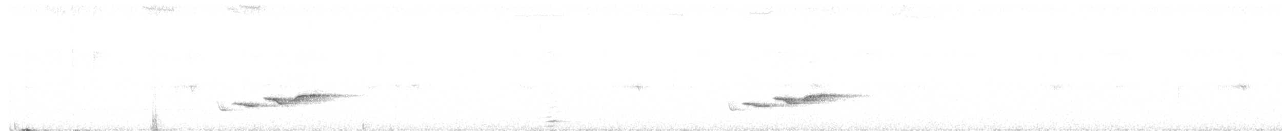 White-breasted Wood-Wren - ML184583481