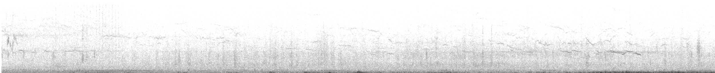 Сизый голубь (Одомашненного типа) - ML184602781