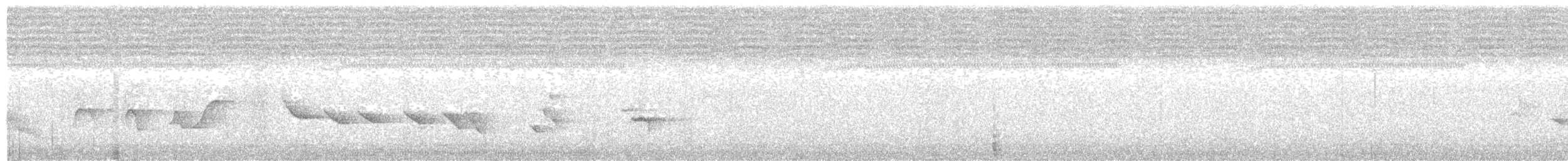 Окулярник соломонський - ML184618581