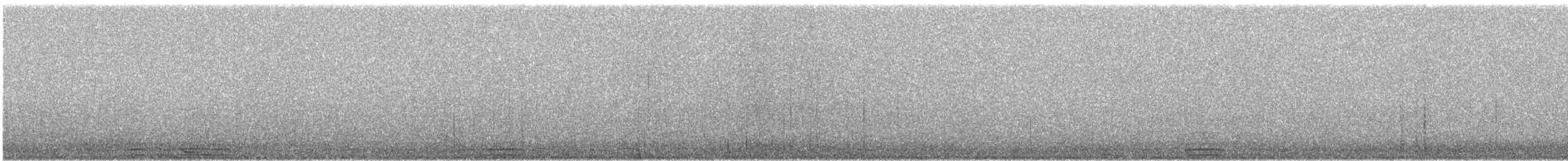 Cisne Trompetero - ML184707711