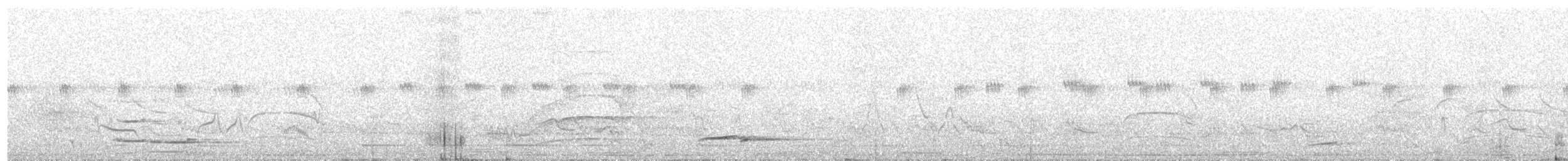 Tinamou superbe - ML184715641