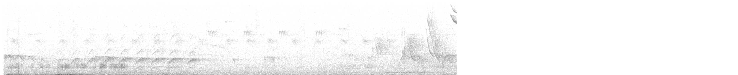 Чернобрюхая желна - ML184715921