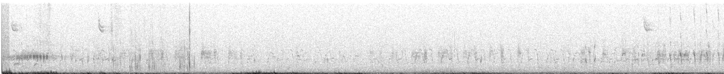 Western Grebe - ML184735431