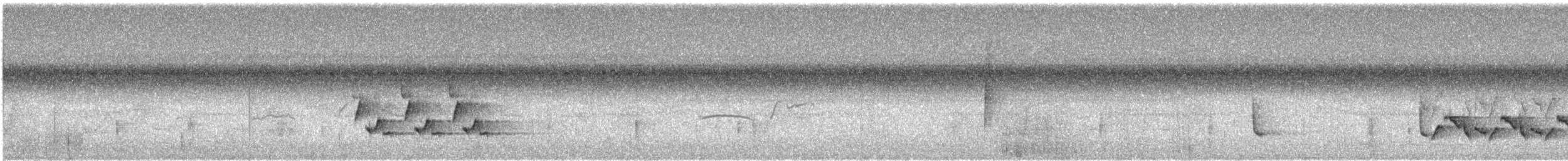 Поплітник каролінський - ML184747431