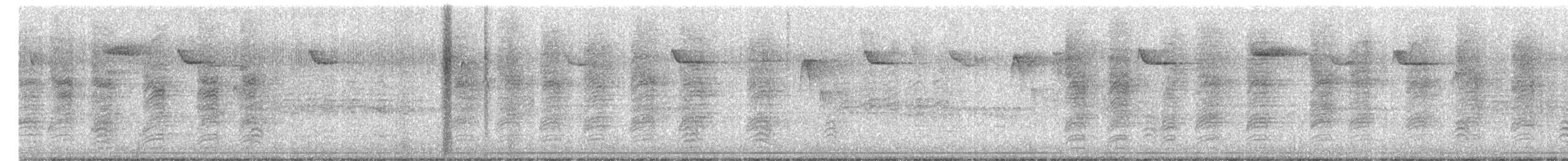Carolina Chickadee - ML184748381