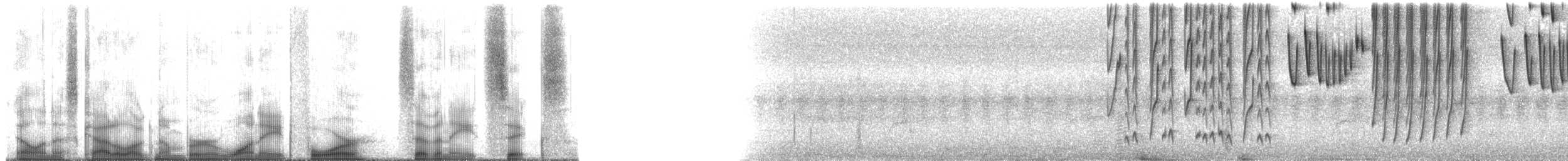 Бронзовый колибри-отшельник - ML184786