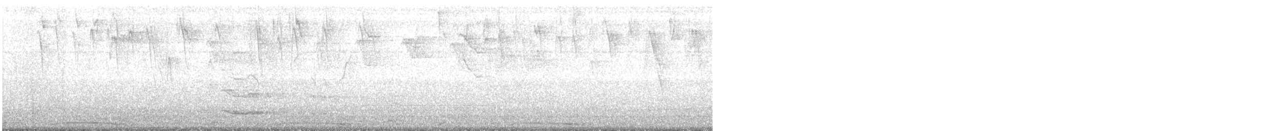 holub neotropický - ML184876621