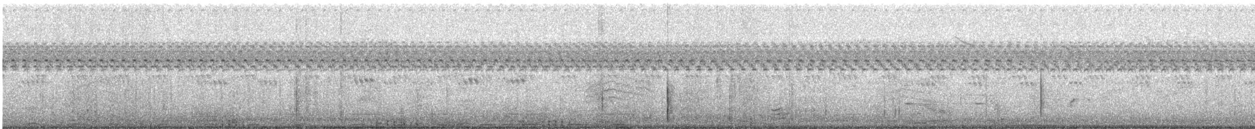 カワラバト（ドバト、家畜型） - ML184962571