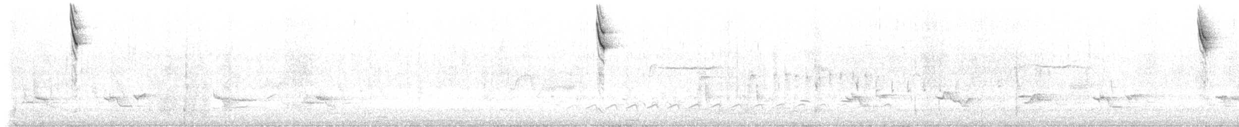 Savannah Serçesi [sandwichensis grubu] - ML184969361