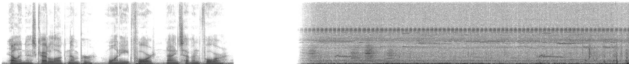 Анаперо-довгокрил бурий (підвид nattereri) - ML184974