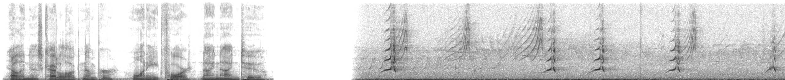 kachnička karolínská - ML184992