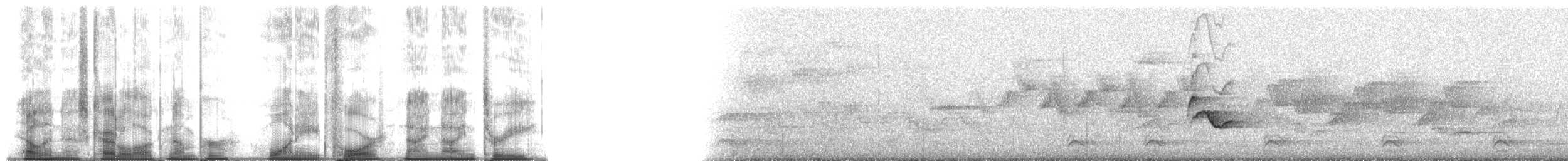 zelenáček červenooký - ML184993