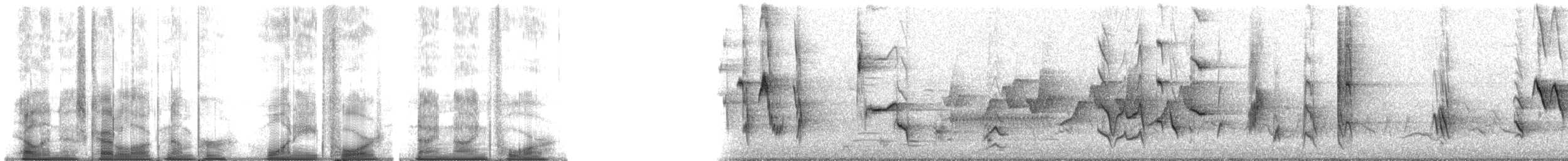 drozdec černohlavý - ML184994