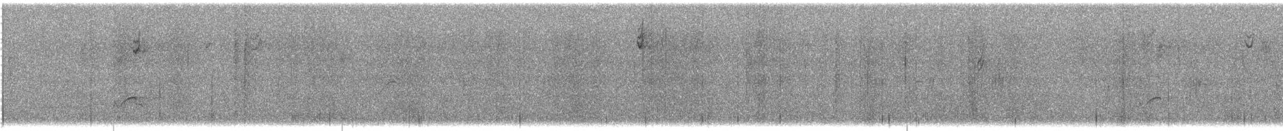 太平洋金斑鴴 - ML185010001