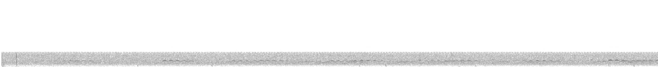 Common Loon - ML185010021