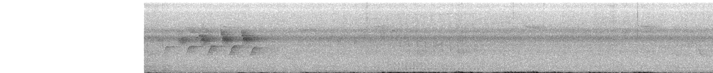 kjerrparula - ML185010101