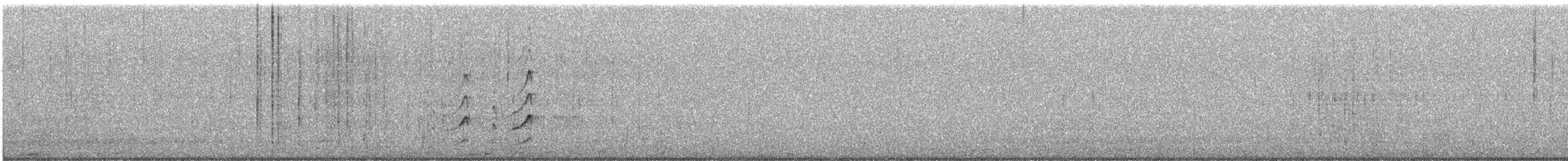 kamenáček černohlavý - ML185015041