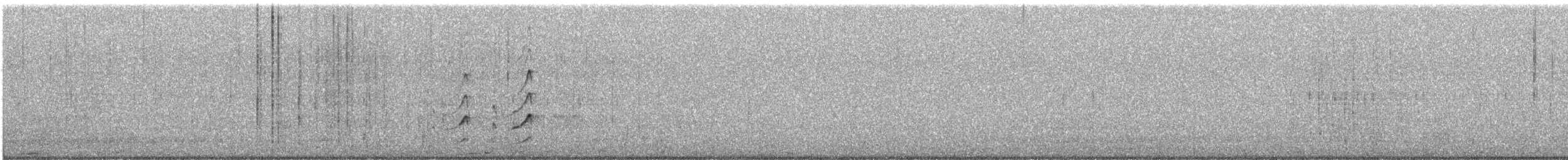 Black Turnstone - ML185015041