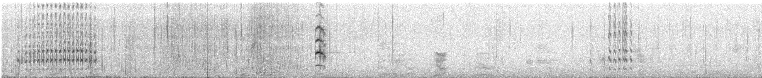 kamenáček černohlavý - ML185015121
