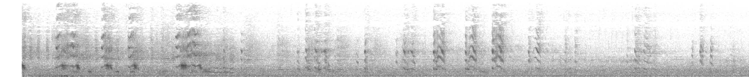 goose sp. - ML185019491