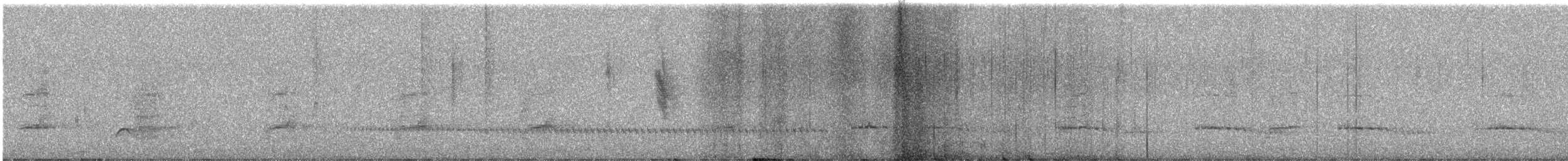 Светлобрюхий зимородок - ML185024741