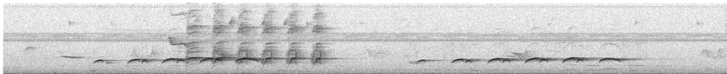 Atila Polimorfo - ML185030961