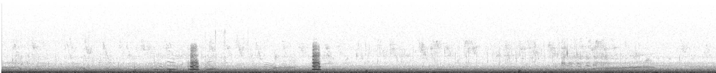 labuť malá (ssp. bewickii) - ML185037951