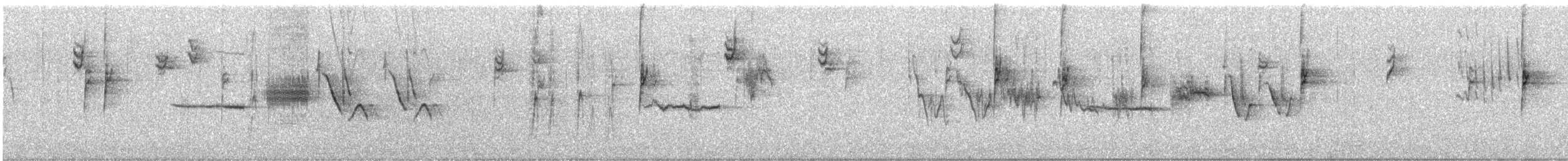 strnadec bělopásý (ssp. pugetensis) - ML185046141