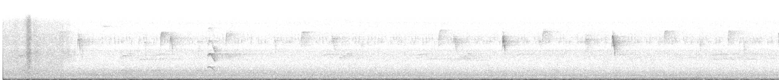 Sora - ML185060901