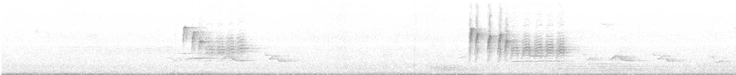 カロライナコガラ - ML185088121