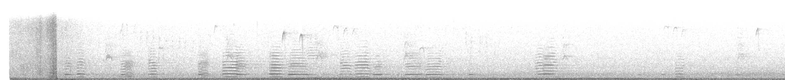 Cisne Trompetero - ML185092801