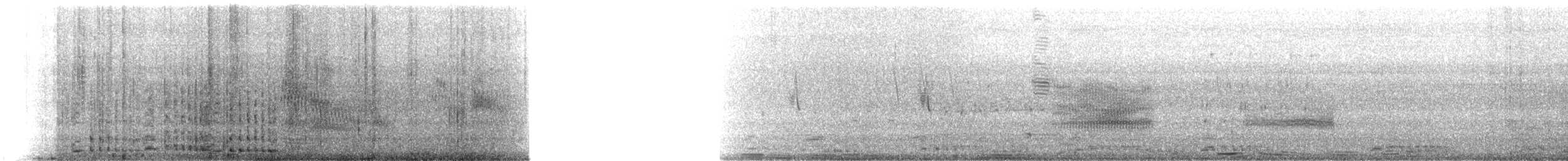 jeřáb kanadský (ssp. tabida/rowani) - ML185100051