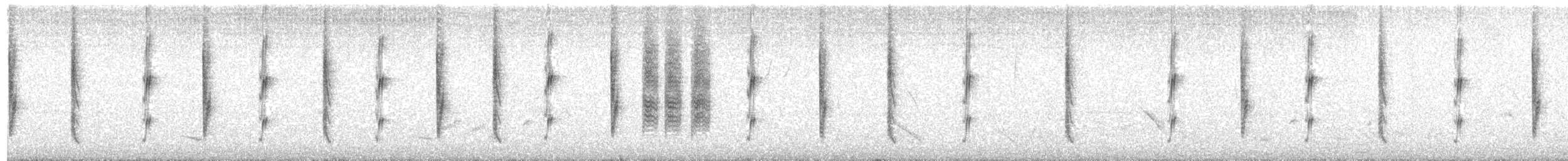 Сияющий колибри-капуцин - ML185119631
